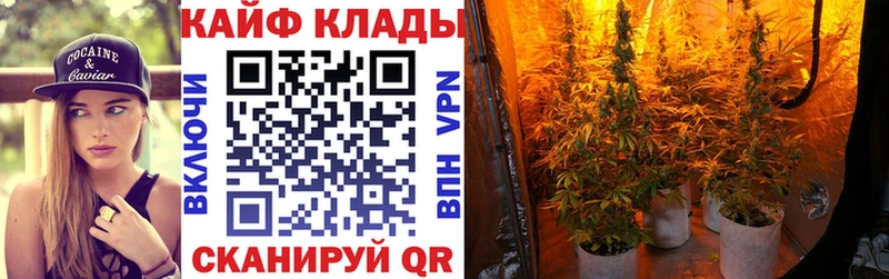 Цена Долгопрудный Каннабис Амфетамин КОКАИН Гашиш МЕФ Псилоцибиновые грибы A PVP