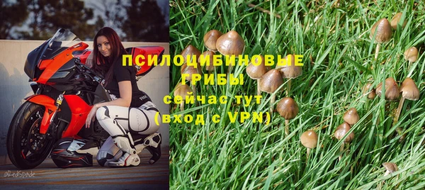 экстази Арсеньев