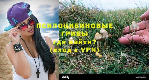 дживик Армянск