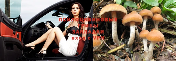 экстази Арсеньев