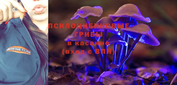 дживик Армянск